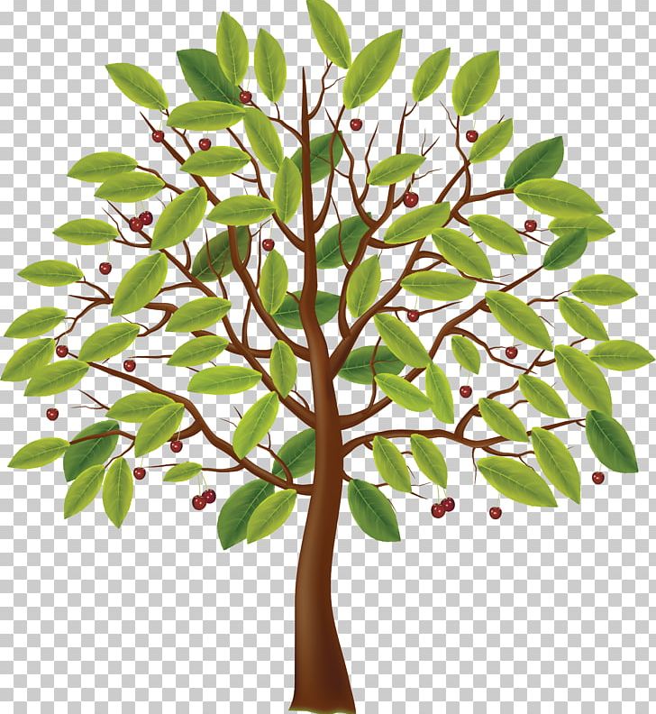 Autumn Season Summer Winter PNG, Clipart, Art, Autumn, Branch, Cherry Tree, Drawing Free PNG Download