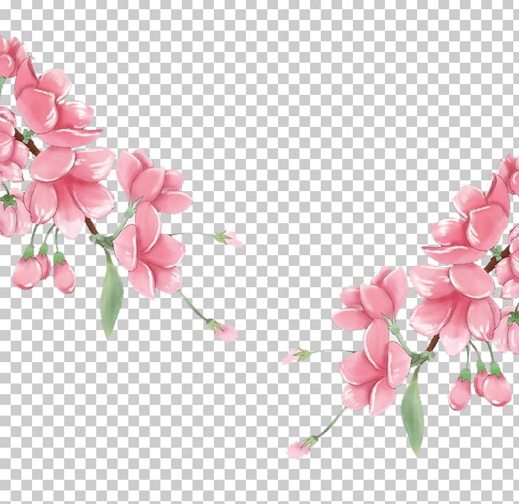 Pink PNG, Clipart, Blossom, Branch, Floral Design, Floristry, Flower Free PNG Download