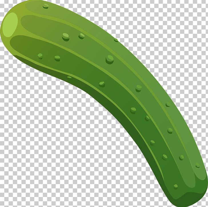 Cucumber Euclidean PNG, Clipart, Bending, Blue Curve, Cucumber, Cucumber Slices, Cucumis Free PNG Download