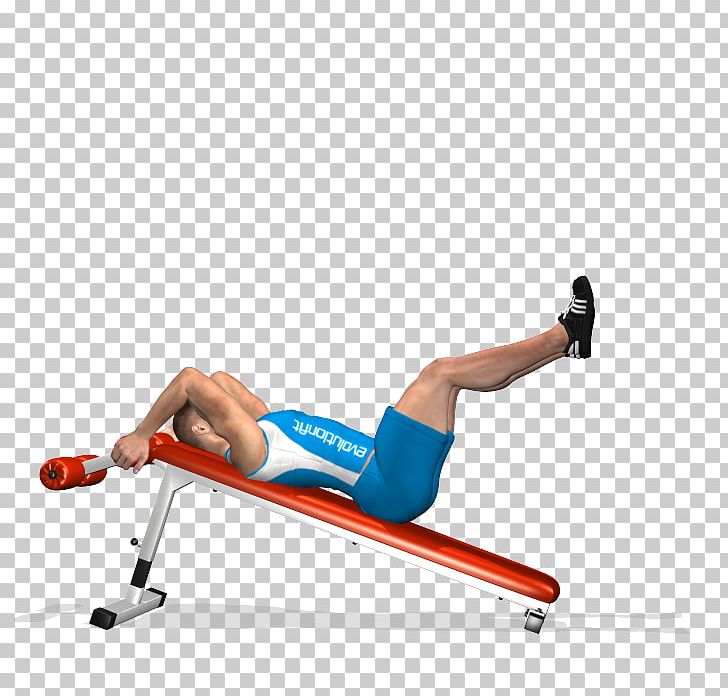 Indoor Rower Physical Fitness Crunch Exercise Rectus Abdominis Muscle PNG, Clipart, Abdomen, Abdominal, Abdominal Exercise, Angle, Arm Free PNG Download