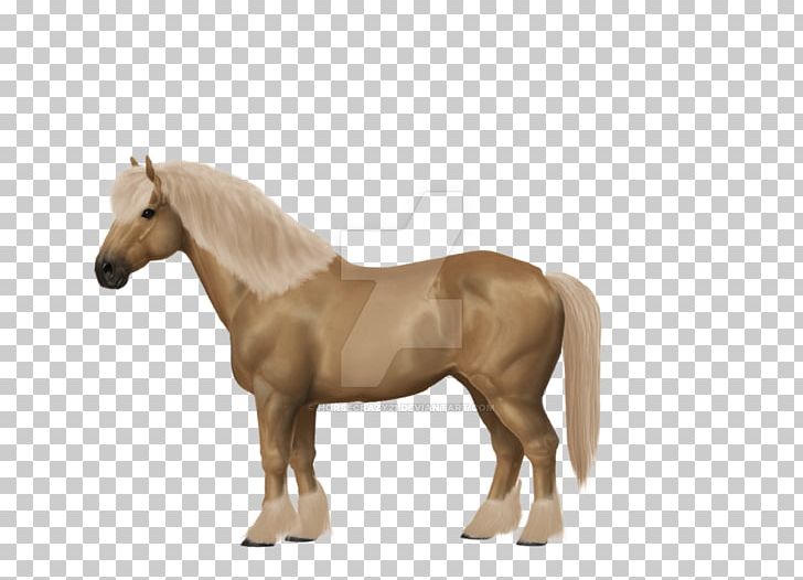 Mustang Pony Mane Foal Barb Horse PNG, Clipart, Barb Horse, Breed, Bridle, Clydesdale Horse, Eventing Free PNG Download