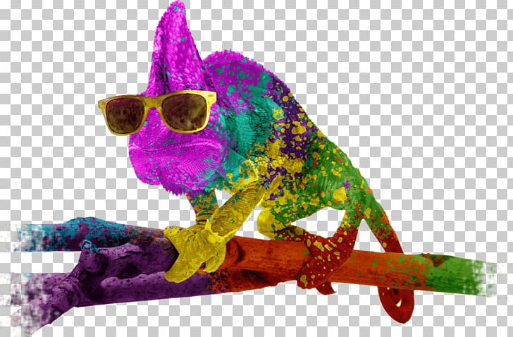 Pigment Chameleons Reptile Color Purple PNG, Clipart, Chameleons, Color Purple, Pigment, Reptile Free PNG Download