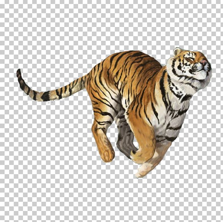 Tiger Balm Nuchal Rigidity PNG, Clipart, Animals, Big Cats, Carnivoran, Cat Like Mammal, Creative Ads Free PNG Download