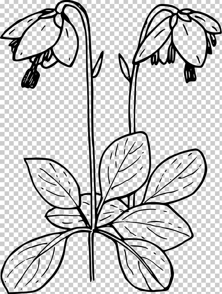 Drawing Moneses Uniflora PNG, Clipart, Artwork, Branch, Brush Footed Butterfly, Fictional Character, Flower Free PNG Download