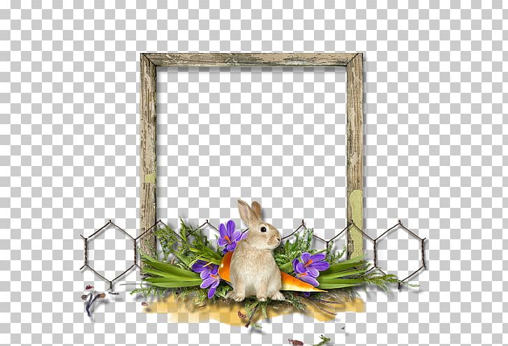 Frames Photography Cadre D'entreprise PNG, Clipart, Animation, Bordiura, Cadre, Cadre Dentreprise, Drawing Free PNG Download