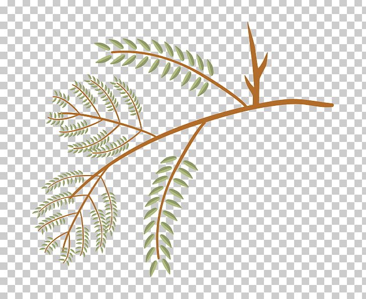 Twig Leaf Sweetgum Tree Liriodendron Tulipifera PNG, Clipart, Branch, Bur Oak, Flora, Grass Family, Juniper Free PNG Download