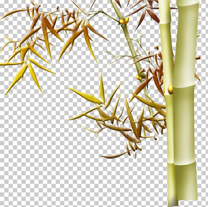 Bamboo PNG, Clipart, Adobe Illustrator, Bamboo, Bamboo Border, Bamboo Frame, Bamboo Leaf Free PNG Download