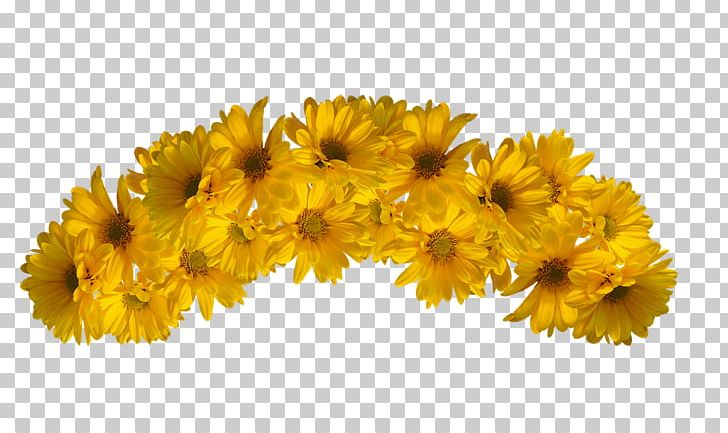 Flower Yellow Color PNG, Clipart, Blue, Chrysanths, Color, Common Sunflower, Crown Free PNG Download