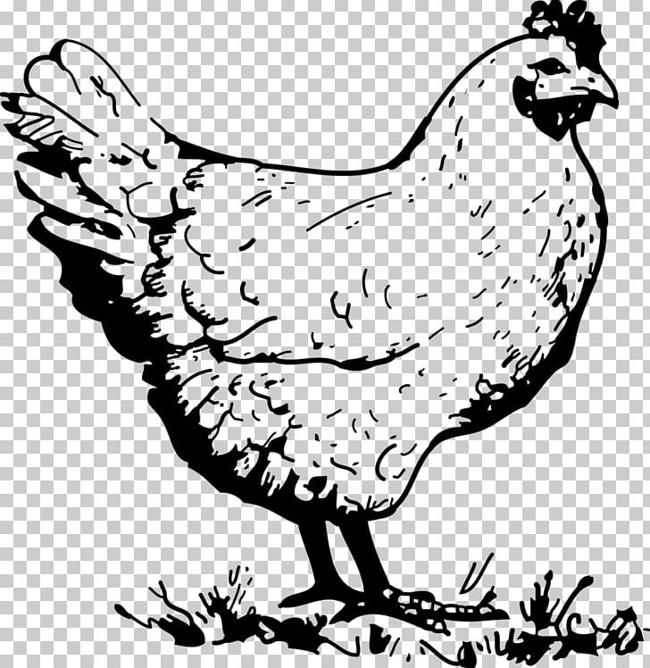 Roast Chicken Drawing Chicken Meat PNG, Clipart, Animals, Art, Artwork, Beak, Bird Free PNG Download