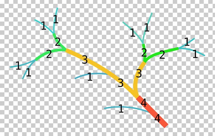 Strahler Number Stream Order Hydrology PNG, Clipart, Angle, Area, Arthur Newell Strahler, Branch, Directed Graph Free PNG Download