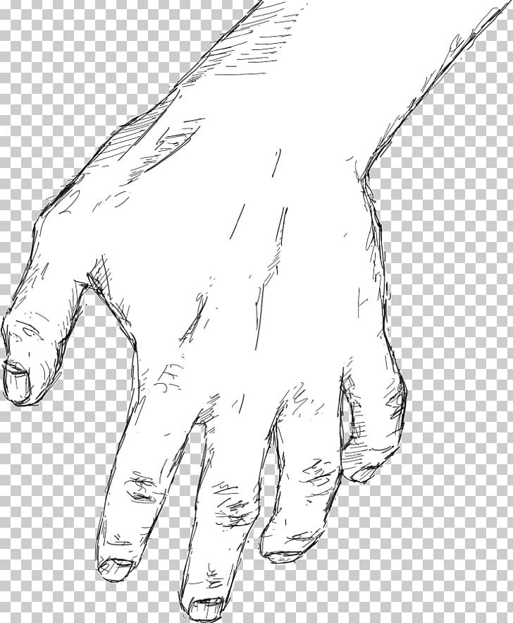 Thumb Hand Model Drawing Sketch PNG, Clipart, Angle, Arm, Art, Artwork, Black And White Free PNG Download