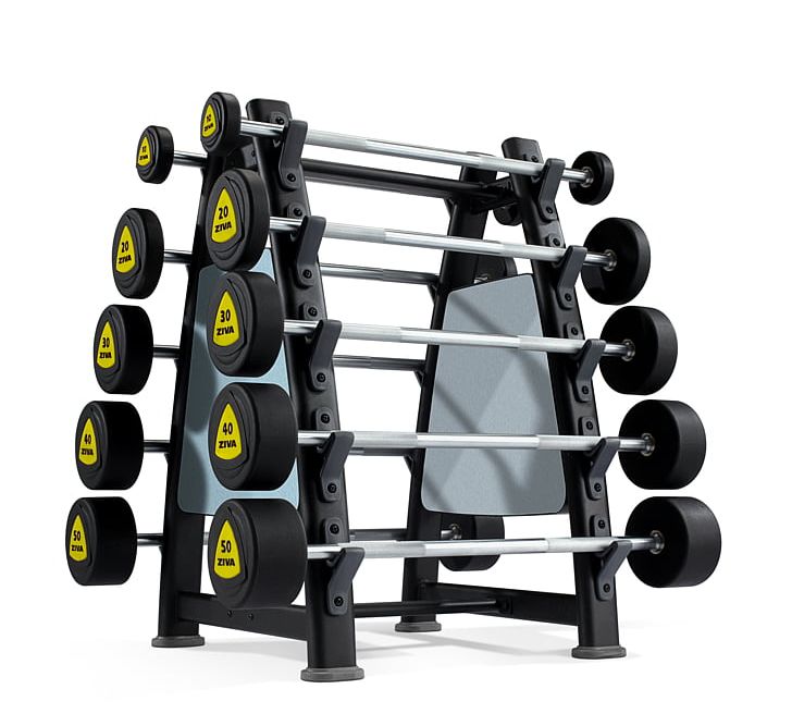 Barbell Physical Fitness Dumbbell Fitness Centre Exercise Machine PNG, Clipart, Aerobics, Barbell, Crossfit, Dumbbell, Exercise Equipment Free PNG Download