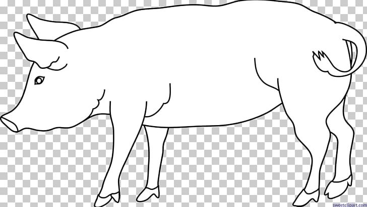 Domestic Pig Black And White PNG, Clipart, Adult, Animal Figure, Animals, Area, Art Free PNG Download