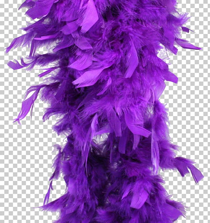 Feather Boa Purple Costume Party PNG, Clipart, Animals, Blue, Boa, Clothing Accessories, Color Free PNG Download