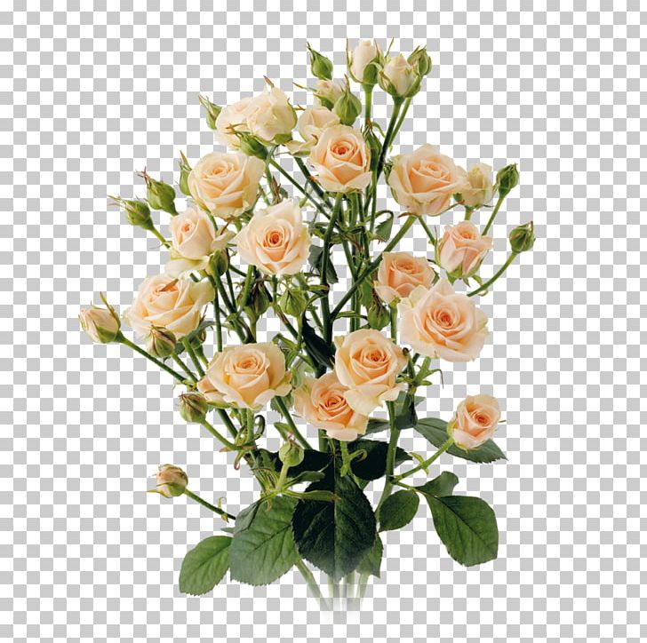 Garden Roses Cabbage Rose Cut Flowers Floral Design PNG, Clipart, Artificial Flower, Cut Flowers, Fasting, Fasting In Islam, Floral Design Free PNG Download