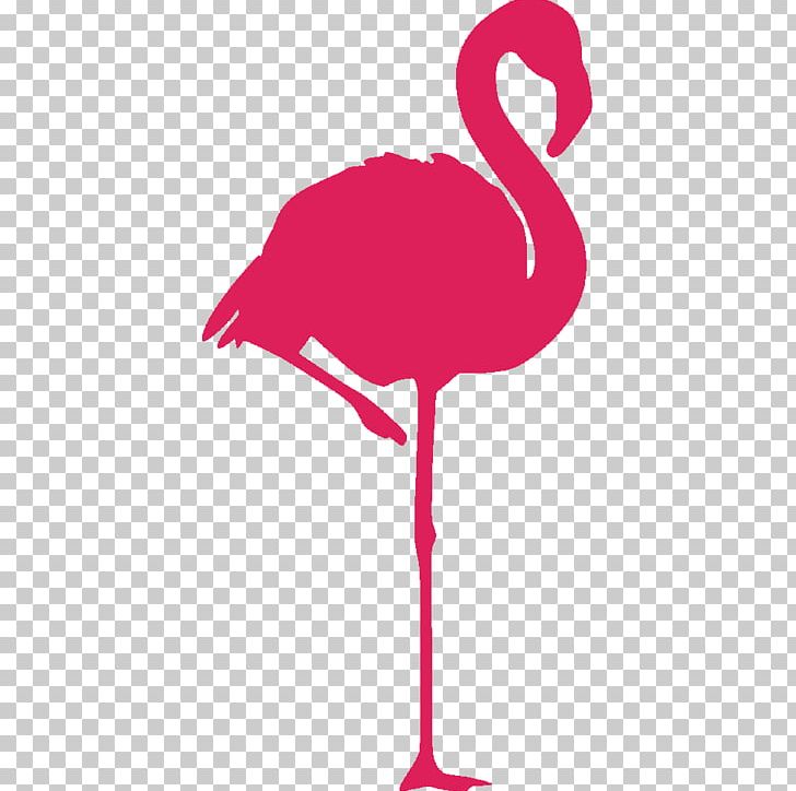 Greater Flamingo Bird American Flamingo Sticker PNG, Clipart, American Flamingo, Animals, Beak, Bird, Decorative Arts Free PNG Download