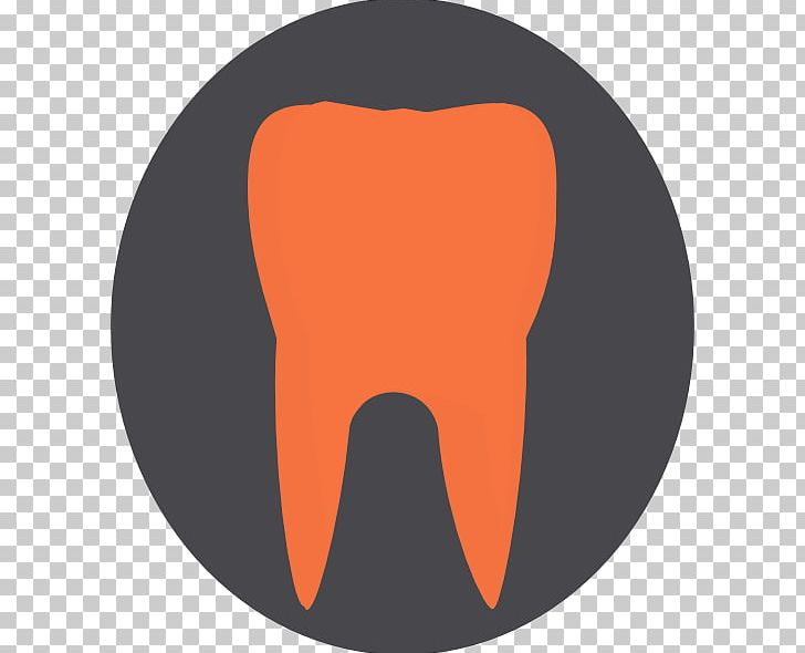 Logo Font PNG, Clipart, Logo, Mouth, Orange, Organ, Others Free PNG Download