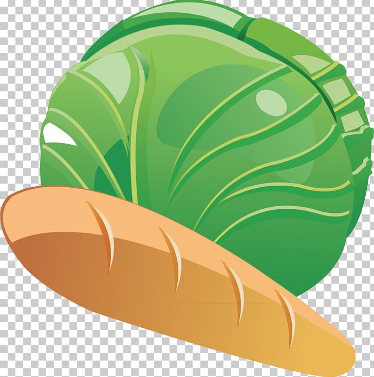 Vegetable Carrot Chinese Cabbage PNG, Clipart, Cabbage, Cabbage Vector, Carrot, Cauliflower, Euclidean Vector Free PNG Download