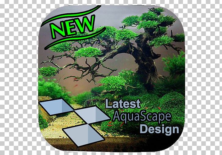 Aquascaping Reef Aquarium Nano Aquarium Fish Live Png Clipart Animals Apk Aquarium Aquariums Aquascape Free Png