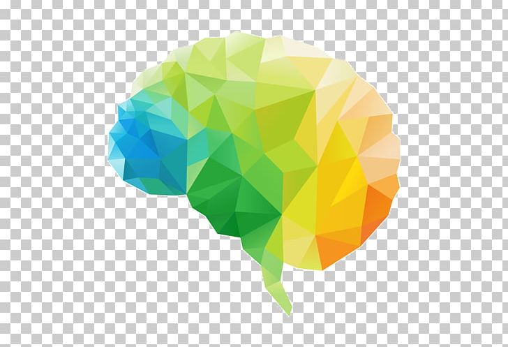 Human Brain Polygon Lateralization Of Brain Function PNG, Clipart, Brain, Cerebral Hemisphere, Deepsea Challenger, Frontal Lobe, Green Free PNG Download