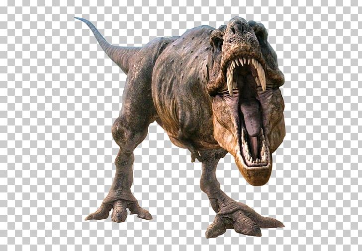 Tyrannosaurus Velociraptor Dinosaur PNG, Clipart, 3d Computer Graphics, Animal, Animals, Color, Computer Graphics Free PNG Download