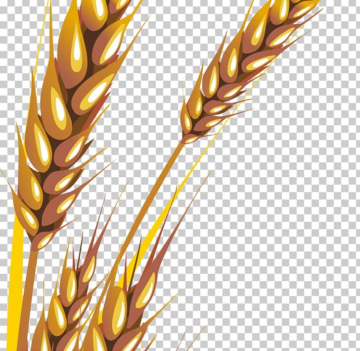 Wheat Paper Business Cards Zazzle PNG, Clipart, Business, Business Cards, Cereal, Computer Wallpaper, Food Free PNG Download