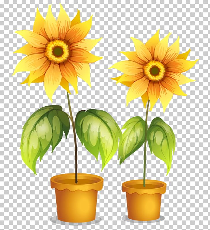 Flowerpot Stock Photography PNG, Clipart, Artificial Flower, Common Sunflower, Crock, Cut Flowers, Daisy Family Free PNG Download
