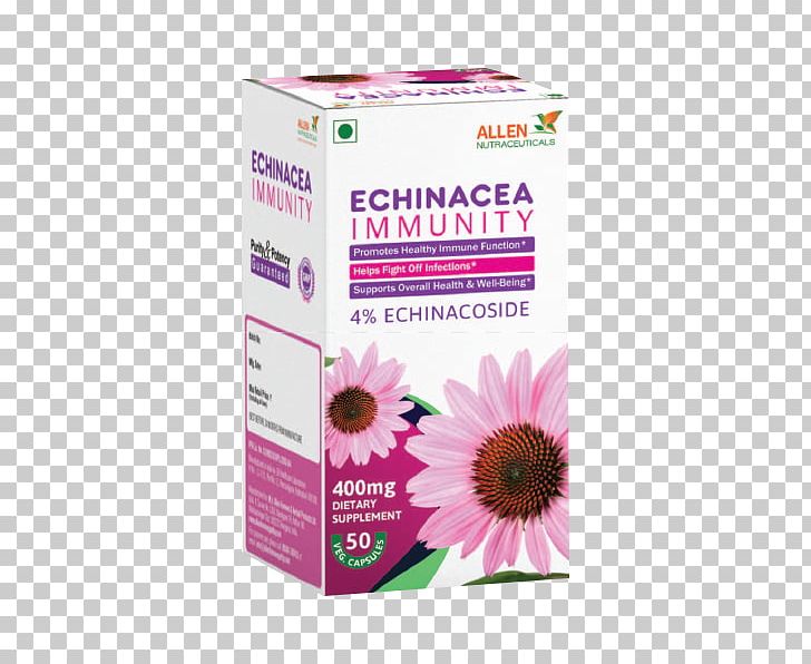 Immunity Immune System Infection Echinacea Purpurea Disease PNG, Clipart, Capsule, Common Cold, Coneflower, Disease, Echinacea Purpurea Free PNG Download