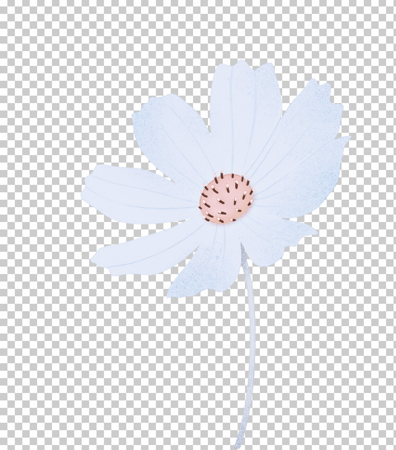 Transvaal Daisy Flower Petal Computer M PNG, Clipart, Biology, Computer, Flower, M, Petal Free PNG Download