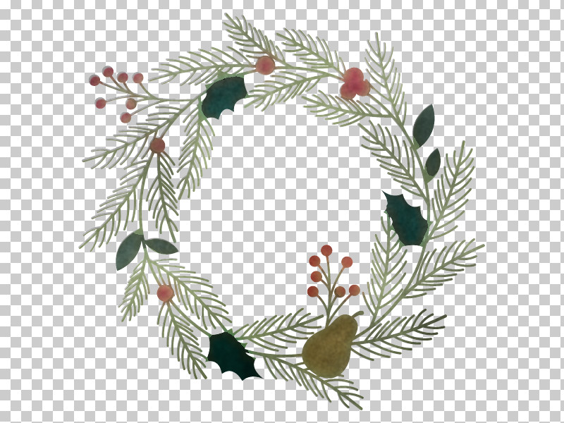 Christmas Decoration PNG, Clipart, American Larch, Branch, Christmas Decoration, Colorado Spruce, Conifer Free PNG Download