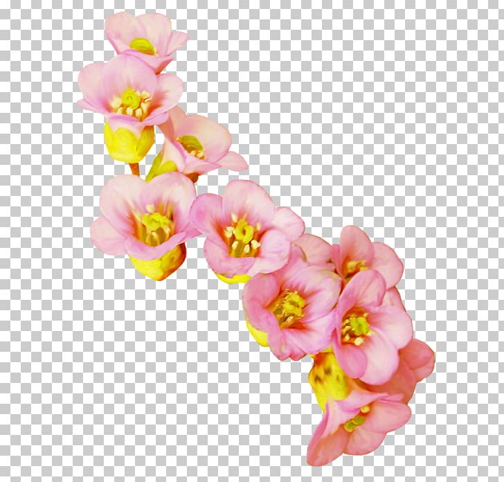 Cut Flowers Moth Orchids PNG, Clipart, Blossom, Computer Icons, Cut Flowers, Download, Flower Free PNG Download