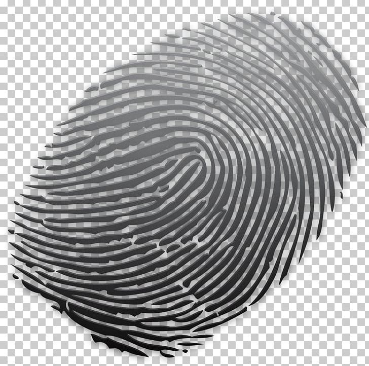 Fingerprint Powder Coating Glass Spiral PNG, Clipart, Black And White, Circle, Coating, Color, Finger Free PNG Download