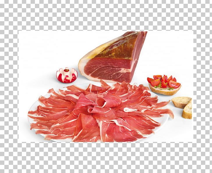 Prosciutto Ham Italian Cuisine Bresaola Salami PNG, Clipart, Animal Source Foods, Back Bacon, Bayonne Ham, Capicola, Capocollo Free PNG Download
