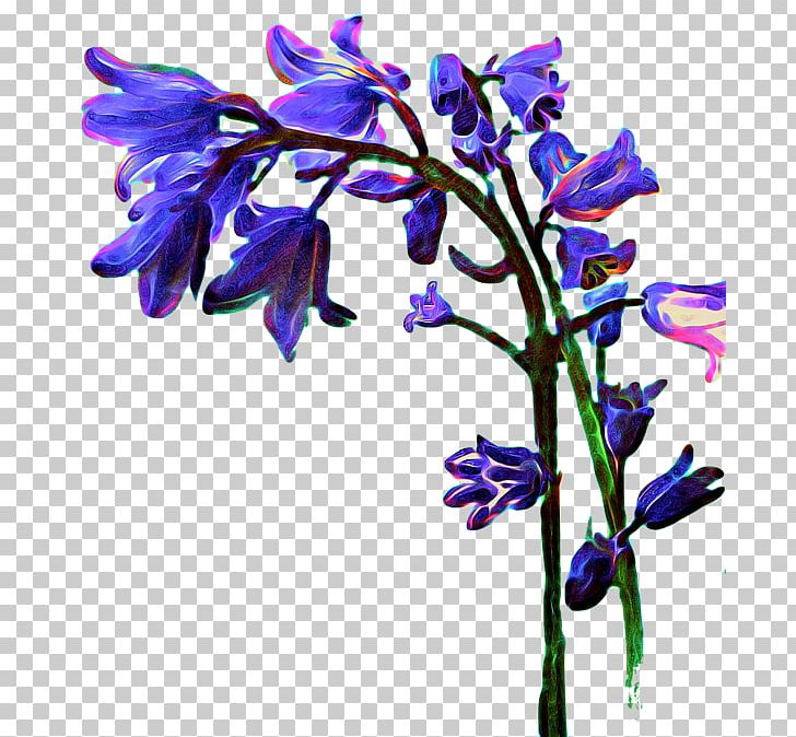 Lavender Cut Flowers Floral Design Violet PNG, Clipart, Bluebells, Branch, Branching, Cut Flowers, Flora Free PNG Download