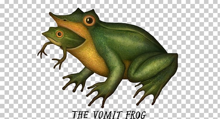 Toad True Frog Amphibians Tree Frog PNG, Clipart, Amphibian, Amphibians, Animal, Art, Fauna Free PNG Download