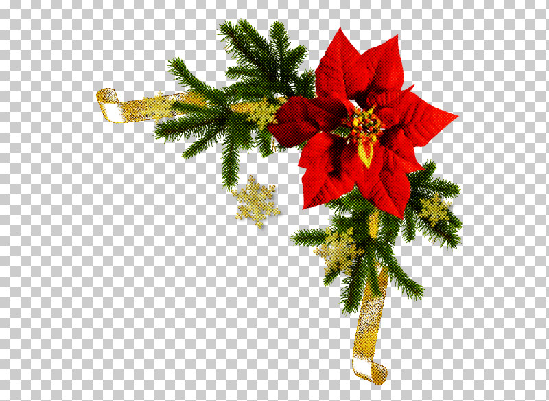Christmas Day PNG, Clipart, Blog, Christmas Day, Christmas Ornament M, Cut Flowers, Idea Free PNG Download