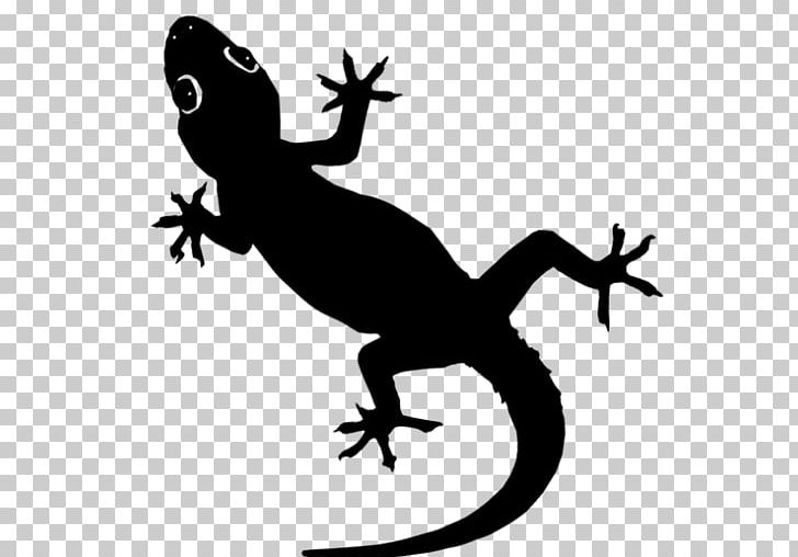 Frog Lizard Reptile Hoodie PNG, Clipart, Amphibian, Animal, Animals, Artwork, Attitude Free PNG Download