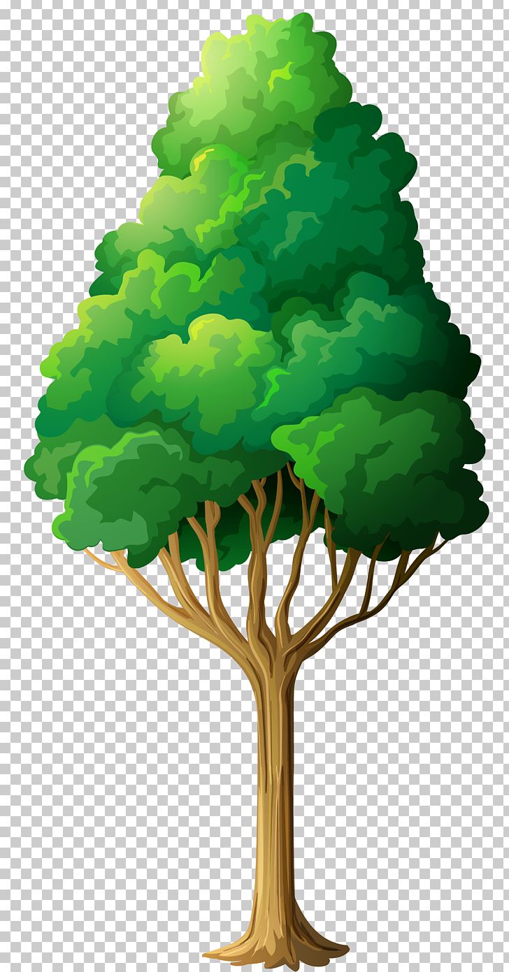 Tree PNG, Clipart, Blog, Branch, Cartoon, Clip Art, Clipart Free PNG Download