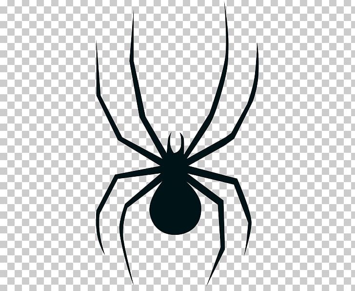 Widow Spiders Drawing Coloring Book PNG, Clipart, Arachnid, Arthropod, Artwork, Black And White, Color Free PNG Download