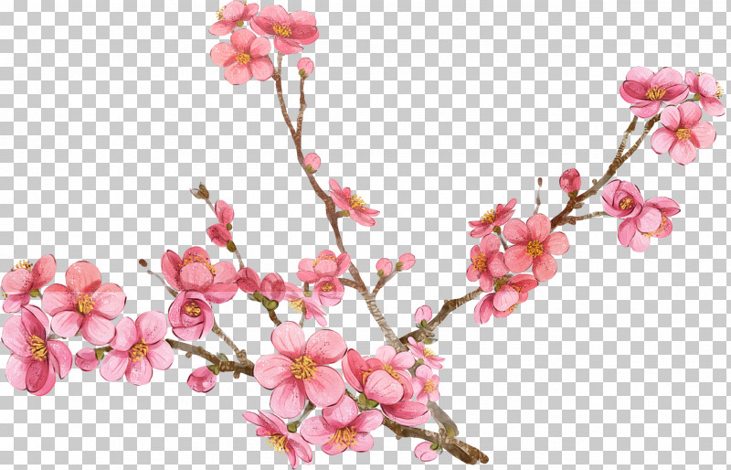 Cherry Blossom PNG, Clipart, Artificial Flower, Blossom, Branch, Cherry Blossom, Cut Flowers Free PNG Download