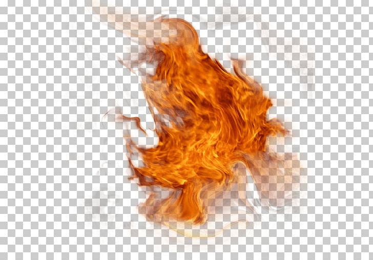 Fire PNG, Clipart, Adaptive Expertise, Architectural Engineering, Architectural Structure, Ball On Em, Cat Free PNG Download