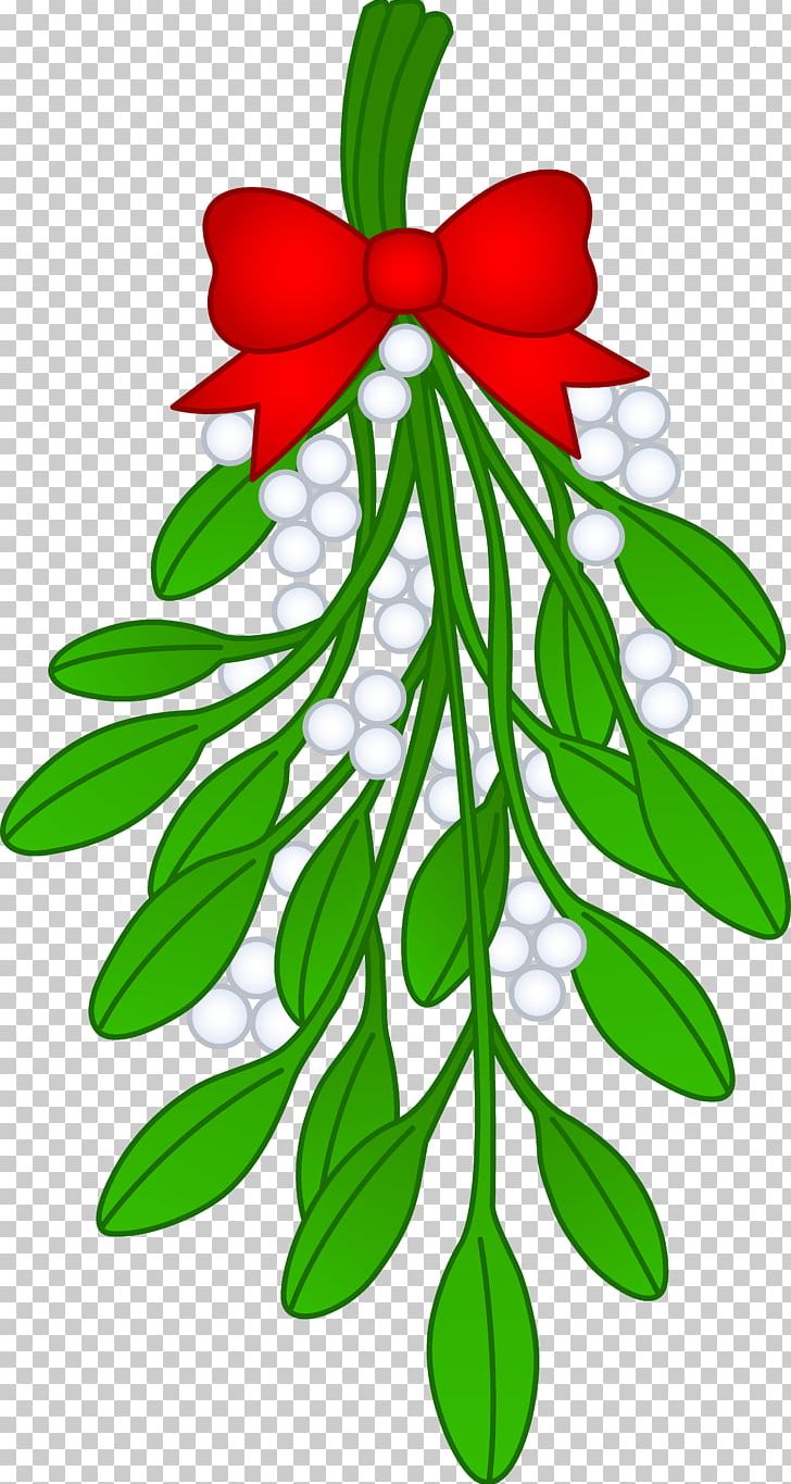 Mistletoe Christmas Kiss Santa Claus PNG, Clipart, Branch, Christmas, Christmas And Holiday Season, Christmas Card, Christmas Gift Free PNG Download
