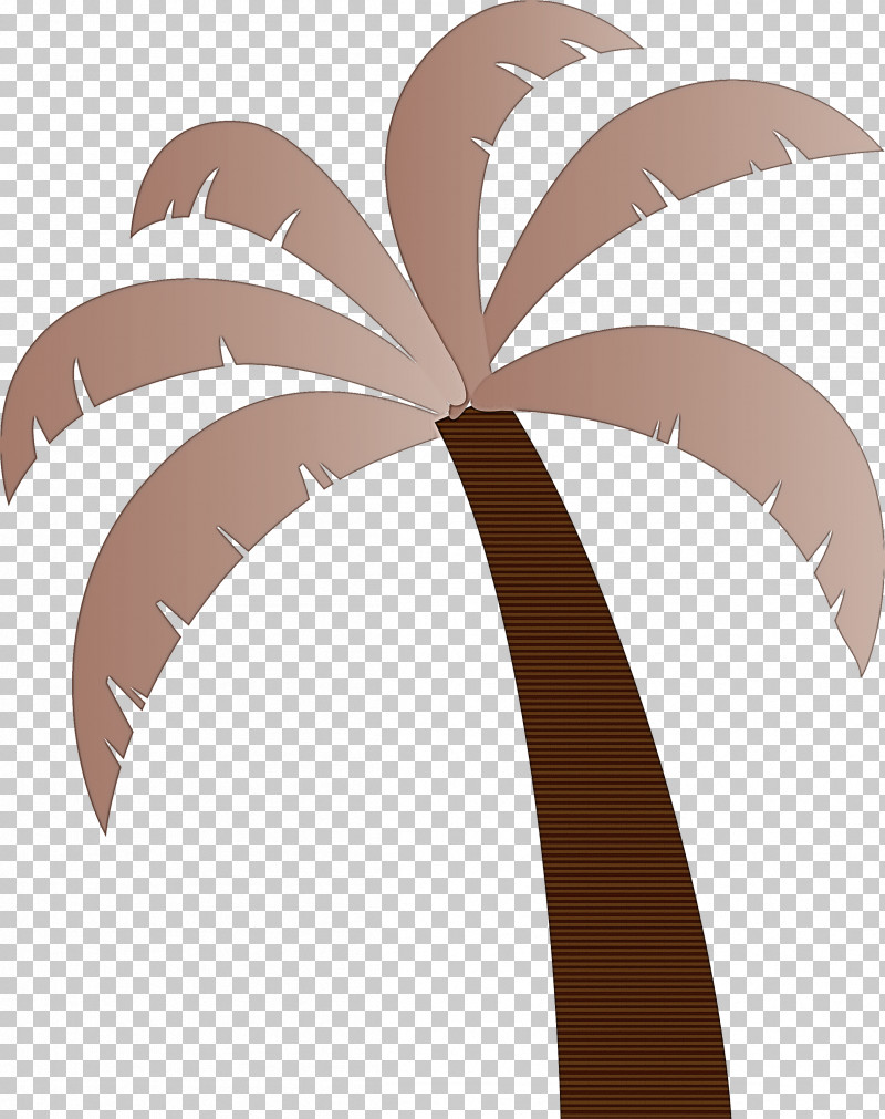 Palm Trees PNG, Clipart, Arecales, Beach, Branch, Cartoon Tree, Dypsis Free PNG Download