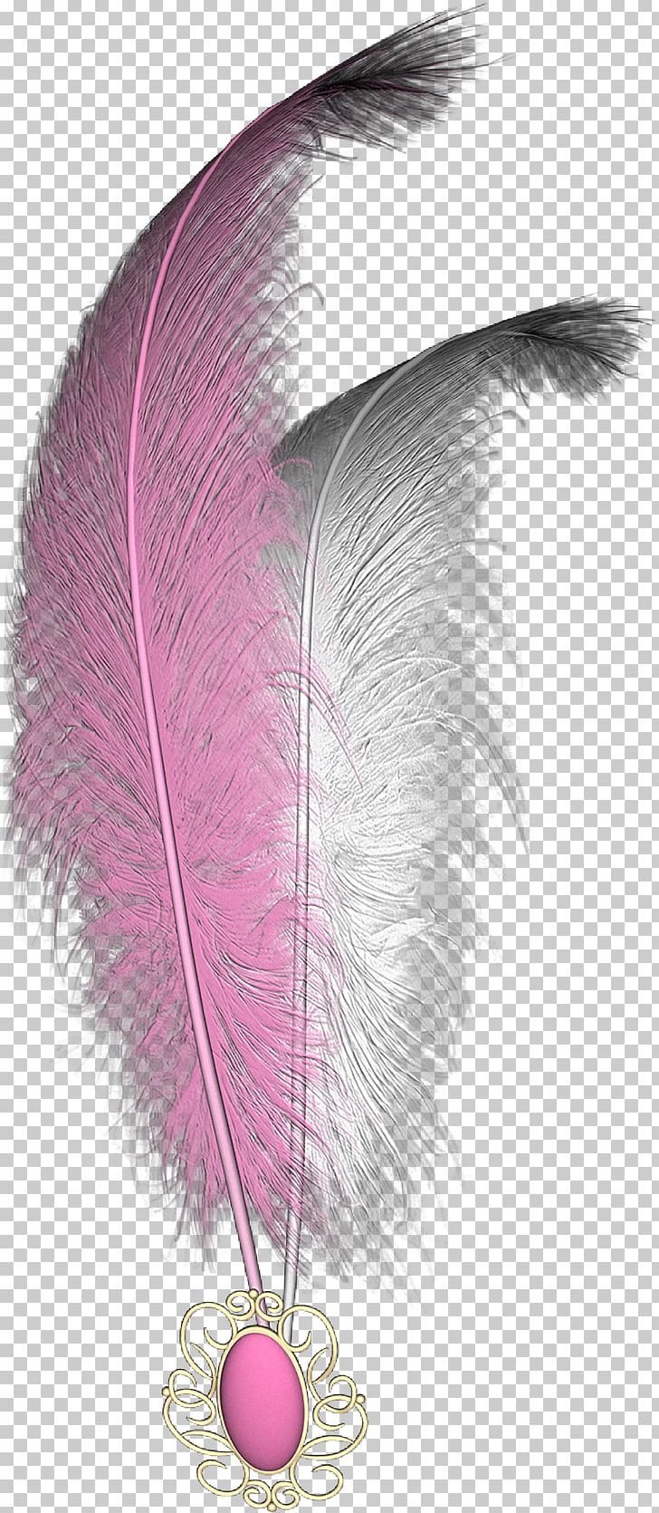 White Animals Peacock Feather PNG, Clipart, Animals, Clip Art, Download, Encapsulated Postscript, Feather Free PNG Download
