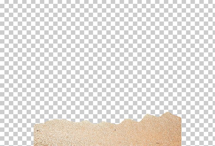 Hurghada Fashion Clothing Seashell PNG