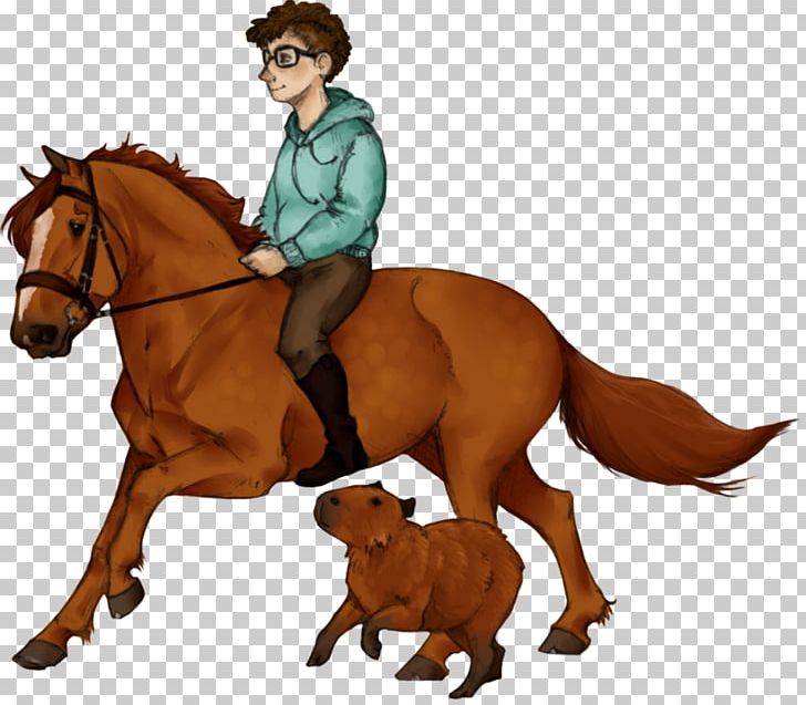 Mustang Stallion Mare Pony English Riding PNG, Clipart, Anima, Bridle, Capybara, English Riding, Equestrian Free PNG Download