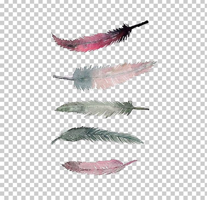 Watercolor Painting Printmaking Poster Feather PNG, Clipart, Animals, Art, Black And White, Decoration, Feather Free PNG Download