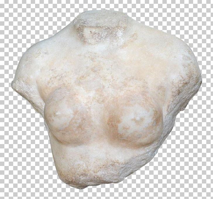 Barakat Gallery Art Museum Sculpture Marble PNG, Clipart, Antique, Artifact, Art Museum, Barakat Gallery, Barakat Gallery Ltd Free PNG Download