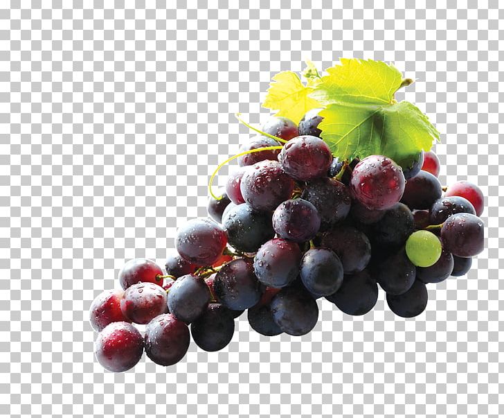 Common Grape Vine Ruby Roman Grape Seed Extract Nutrition PNG, Clipart, Antioxidant, Bilberry, Blueberry, Food, Fruit Free PNG Download