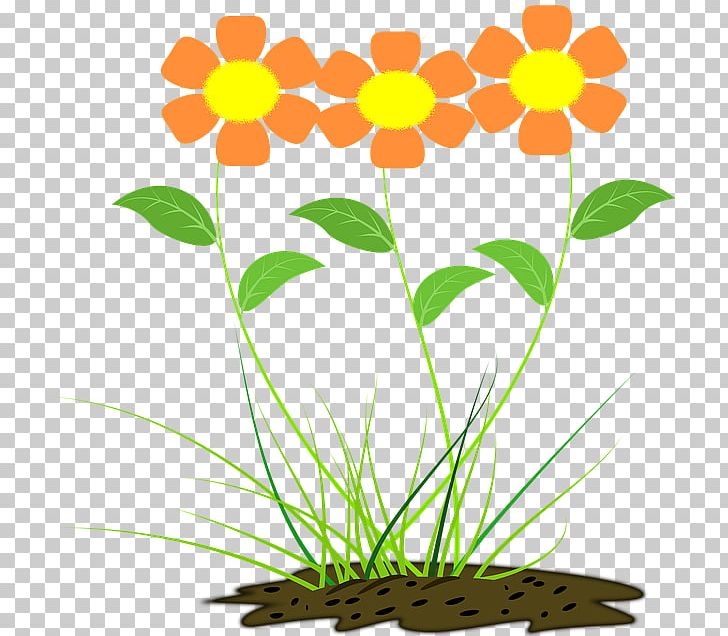Flower Orange Floral Design Drawing PNG, Clipart, Artwork, Blume, Color, Cut Flowers, Drawing Free PNG Download